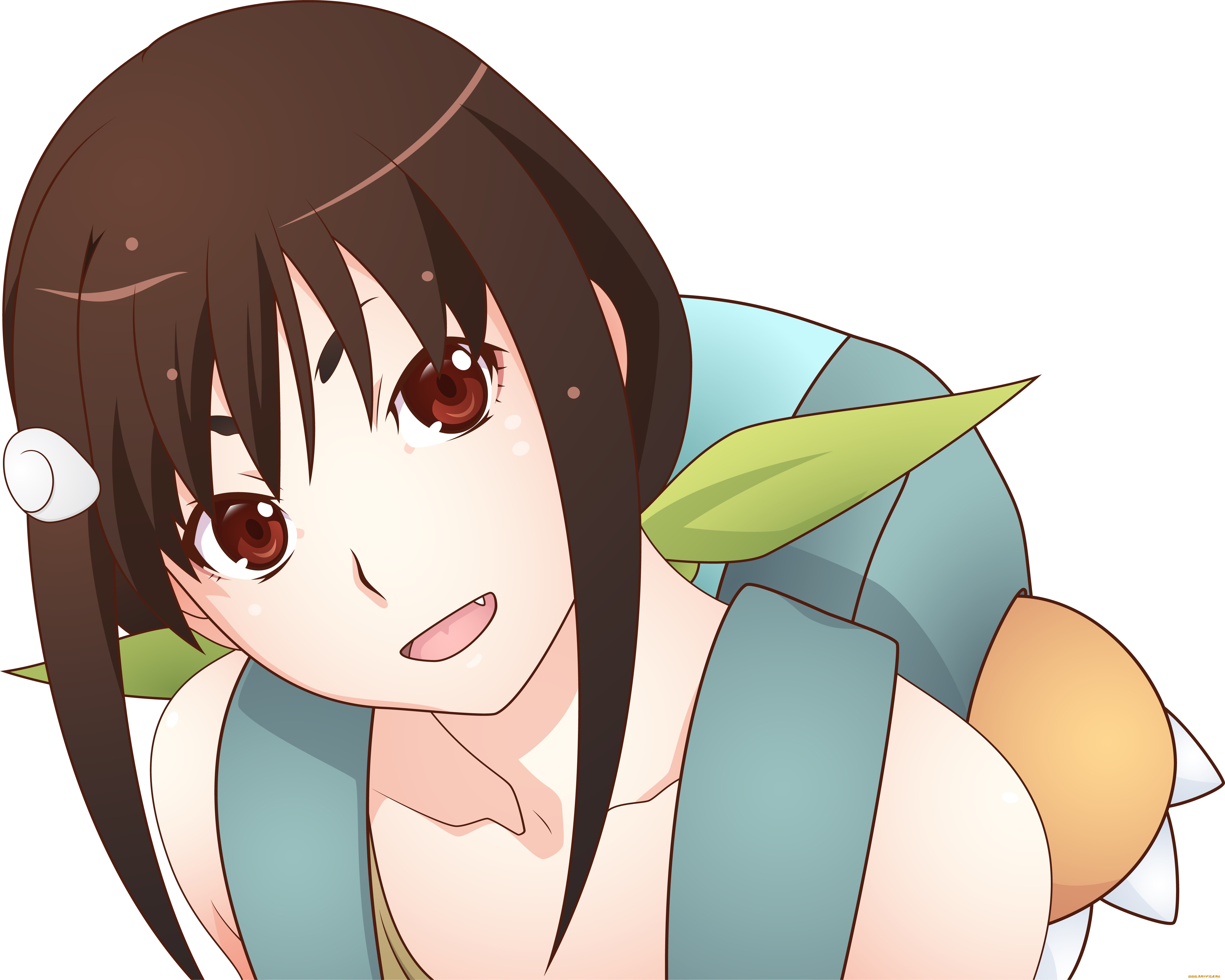 , bakemonogatari, , , 